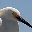 thumbs/IMG_0123.jpg